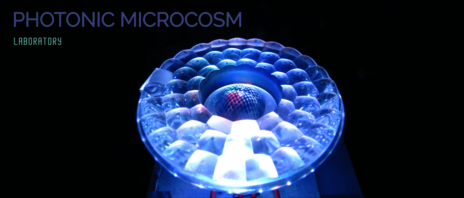 Photonic Microcosm